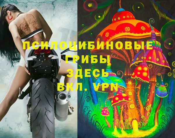 соль курить ск Михайловск