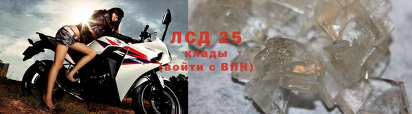 прущие грибы Медногорск