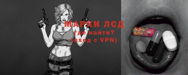 прущие грибы Медногорск