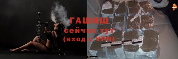 прущие грибы Медногорск
