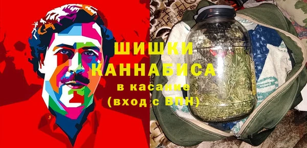 прущие грибы Медногорск