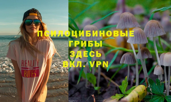 Альфа ПВП Медвежьегорск