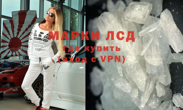прущие грибы Медногорск