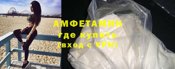 прущие грибы Медногорск
