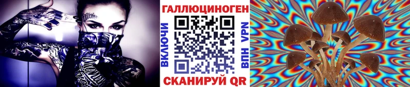 Купить где  Брянск  Псилоцибиновые грибы Magic Shrooms 